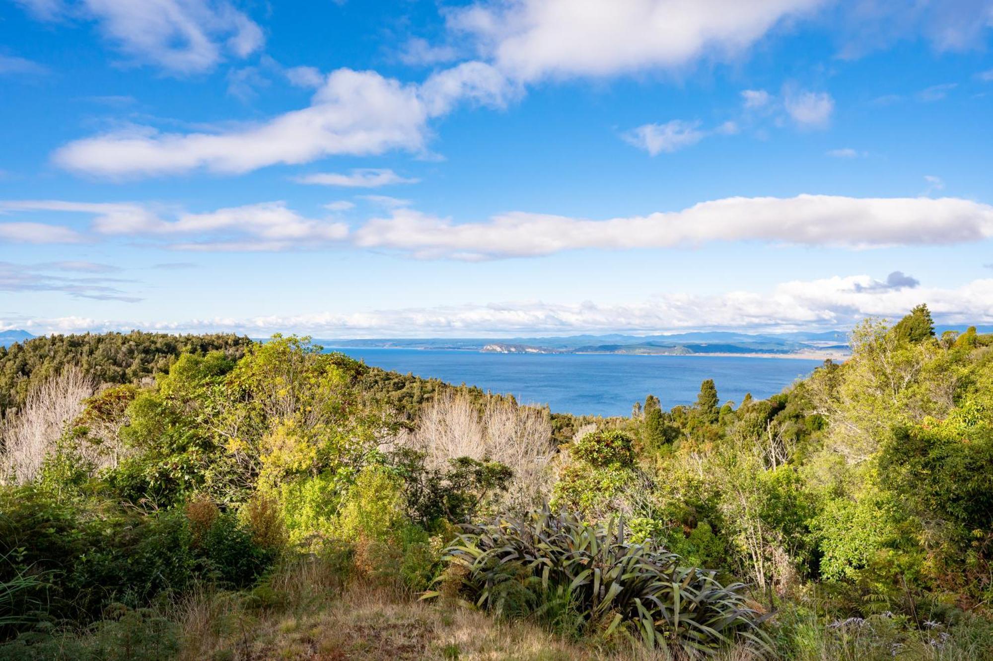 Lake View Lodge - Taupo Holiday Home Kuratau Exteriér fotografie